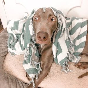 Meet your Posher, Arantxa